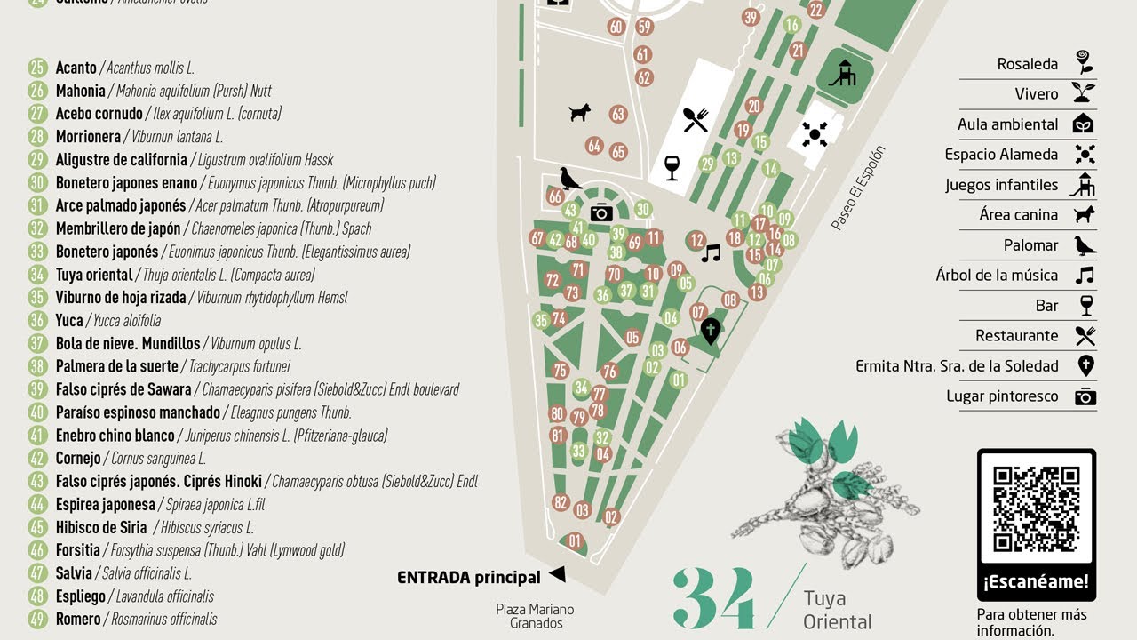 Arboretum de la Dehesa, Alameda de Cervantes en Soria