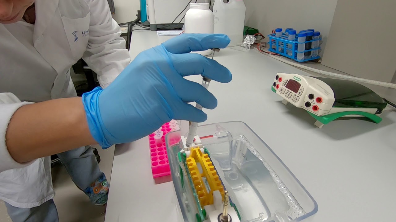 A la b&uacute;squeda de f&aacute;rmacos. &Aacute;reas Bioqu&iacute;mica y Biof&iacute;sica, BIFI &ndash; UNIZAR