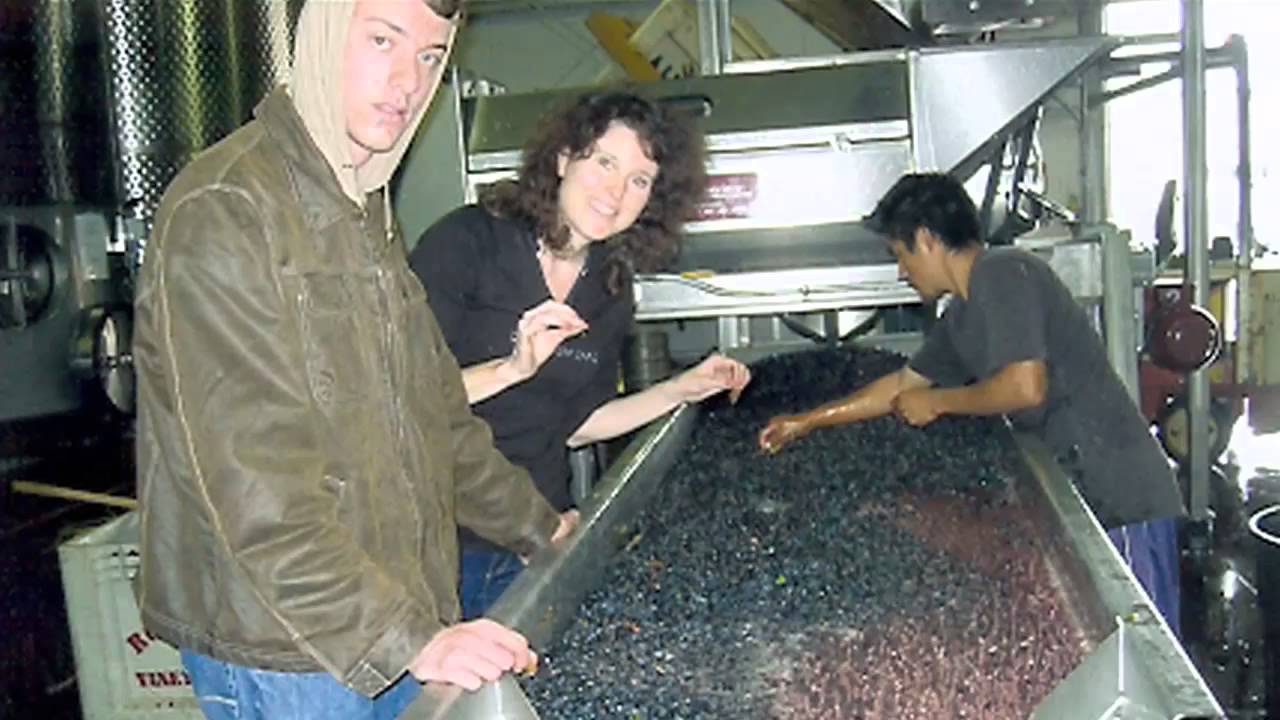The secrets of great winemaking