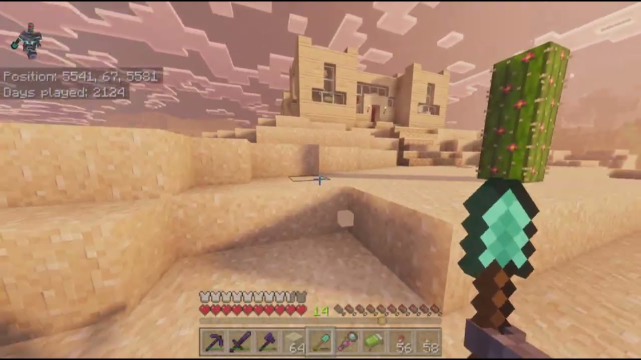 Minecraft to doze off to #79