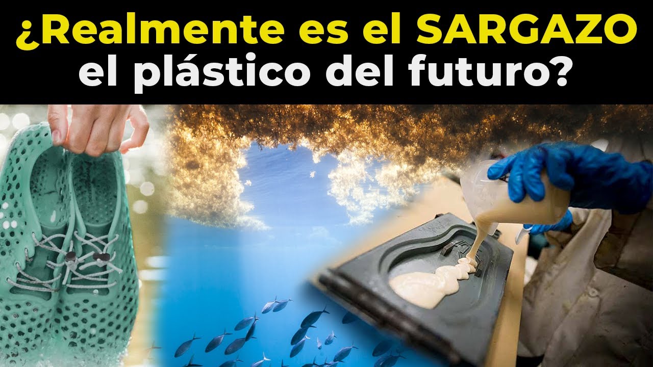¿Pueden las ALGAS ser el Bioplástico del Futuro?