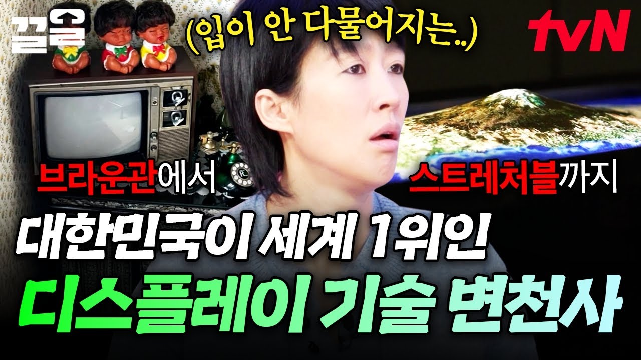 자랑스러운 대한민국의 디스플레이 기술력🌟전문가가 알려주는 디스플레이 기술 변천사📺 | 문과vs이과놀라운증명