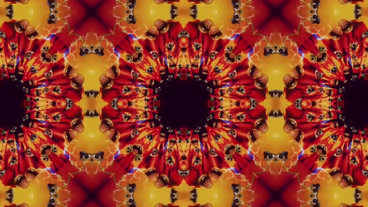 PNAU - Nothing In The World