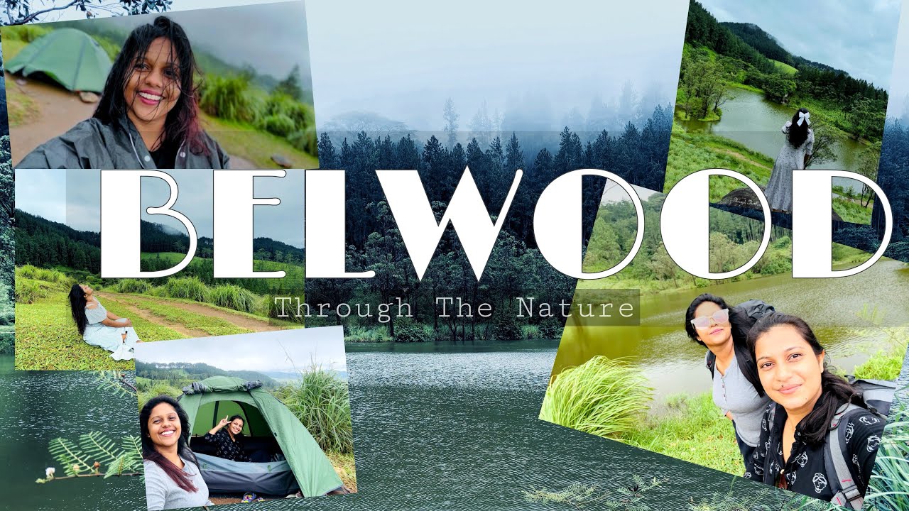 නවතින්නැති වැස්සයි හුලඟයි එක්ක Belwood වල රැයක්...🍃BELWOOD🍃| Kandy|Srilanka@ThroughTheNature-k2n