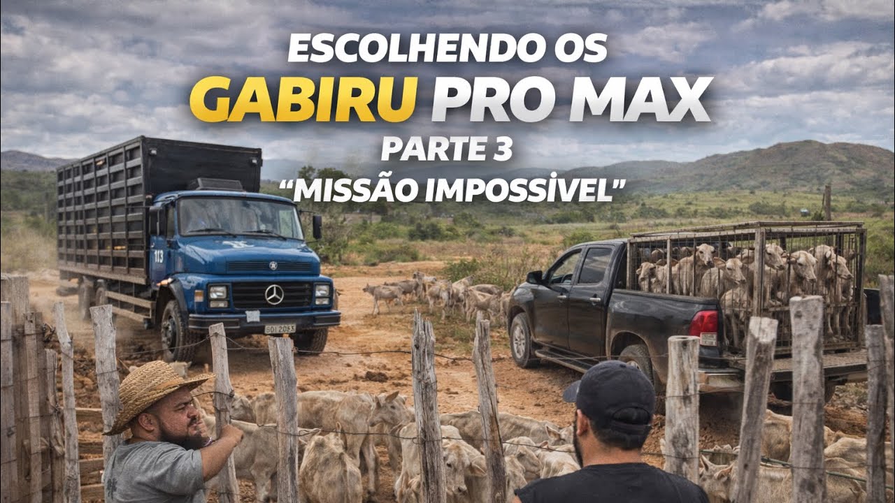 ESCOLHENDO OS GABIRUS PRO MAX PARTE 3 - MISSÃO IMPOSSÍVEL 