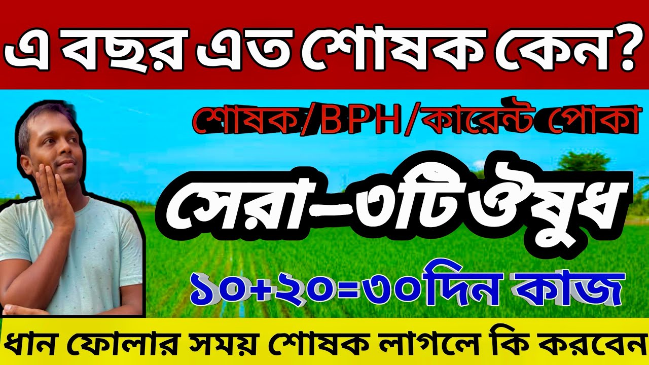 ধান ফোলার সময় শোষক লাগলে কি করবেন?@AgricultureBook #min2buy.com