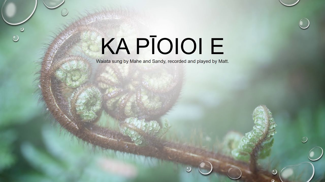 Ka pioio e  Lyrics