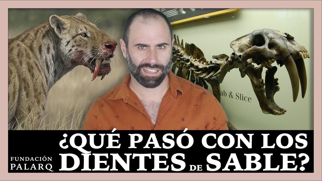 ¿Convivimos con los Dientes de Sable?
