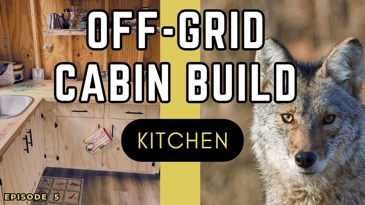 Tiny Off-Grid Cabin Kitchen Build | Custom L-Shaped Cabinets, Maple Shelves & Spring Bird Migration