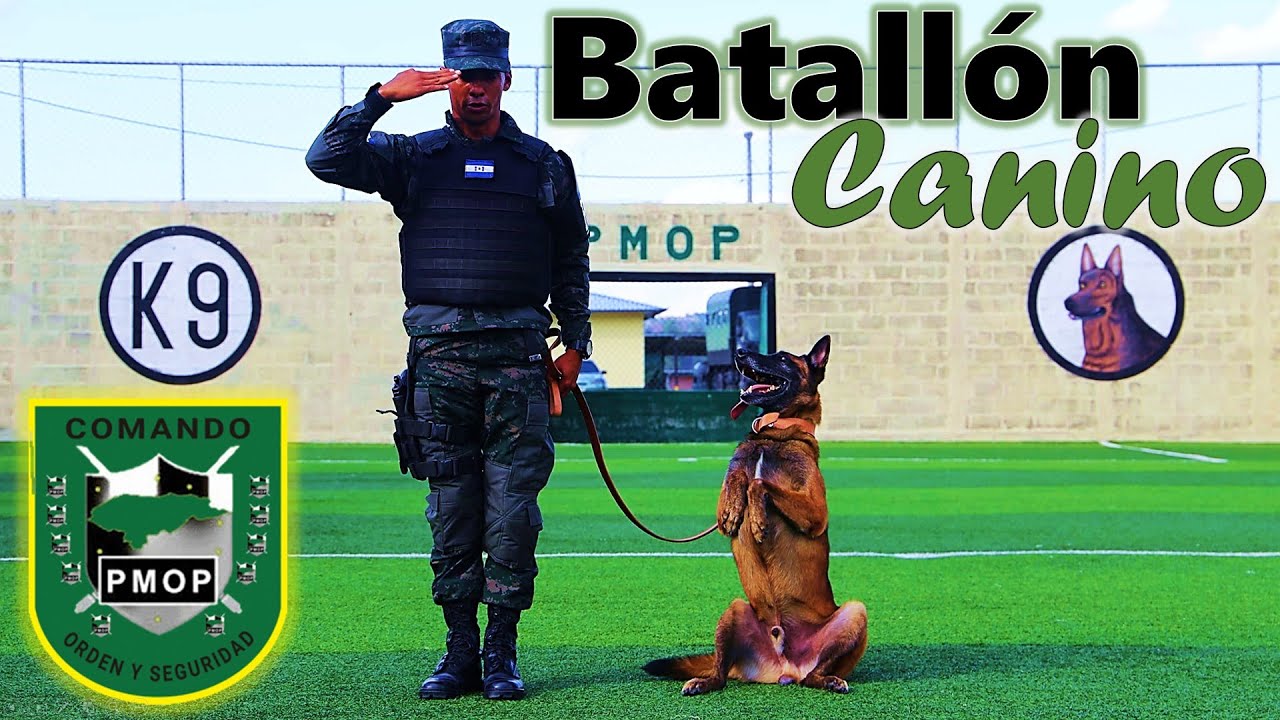 Batallón Canino de la Policía Militar del Orden Público