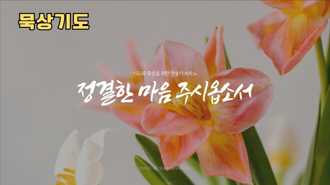 정결한 마음 주시옵소서 | 기도음악 | 묵상음악 | 찬송가 묵상 피아노