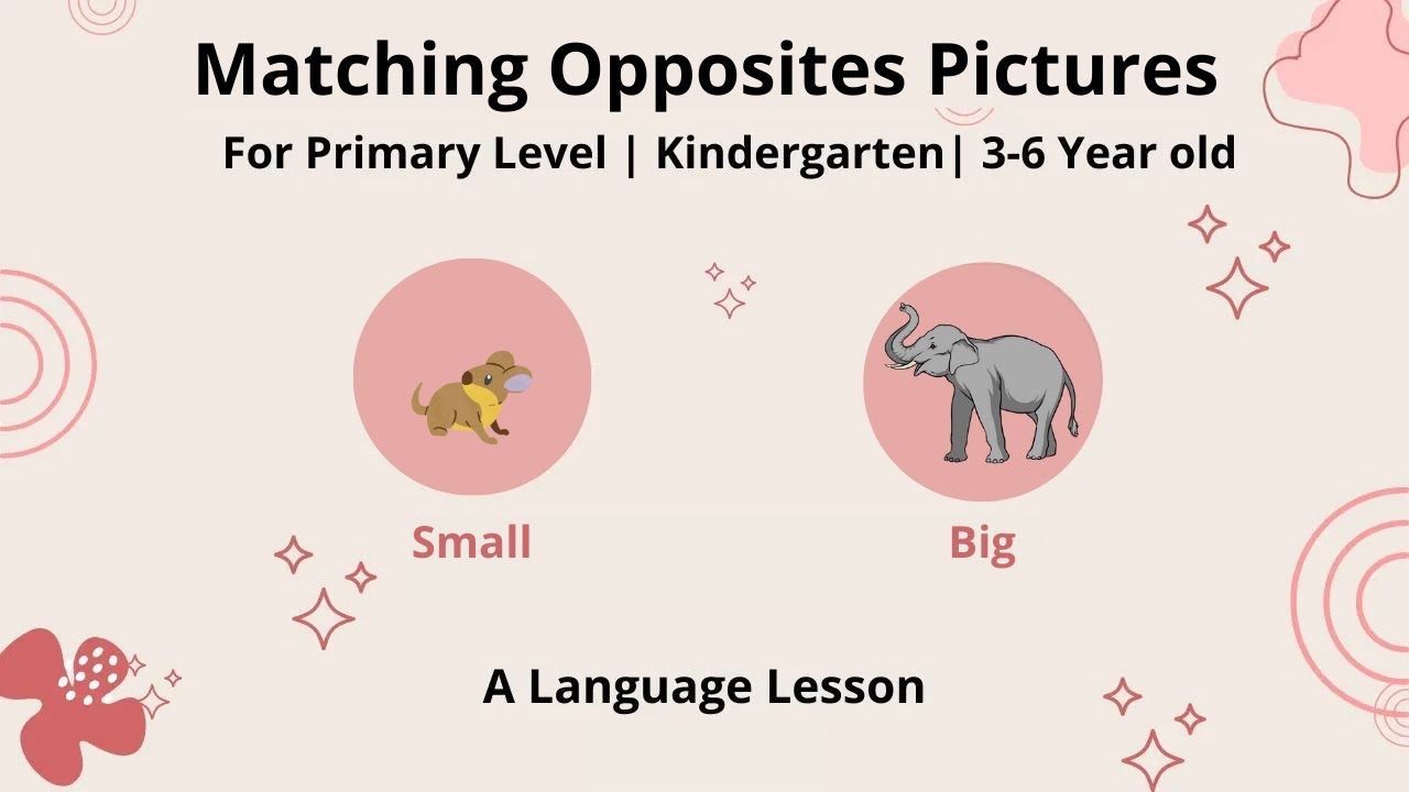 Matching Opposites Pictures | Language Lesson | 3-6 Years Old | Kindergarten | Primary Level | GMN
