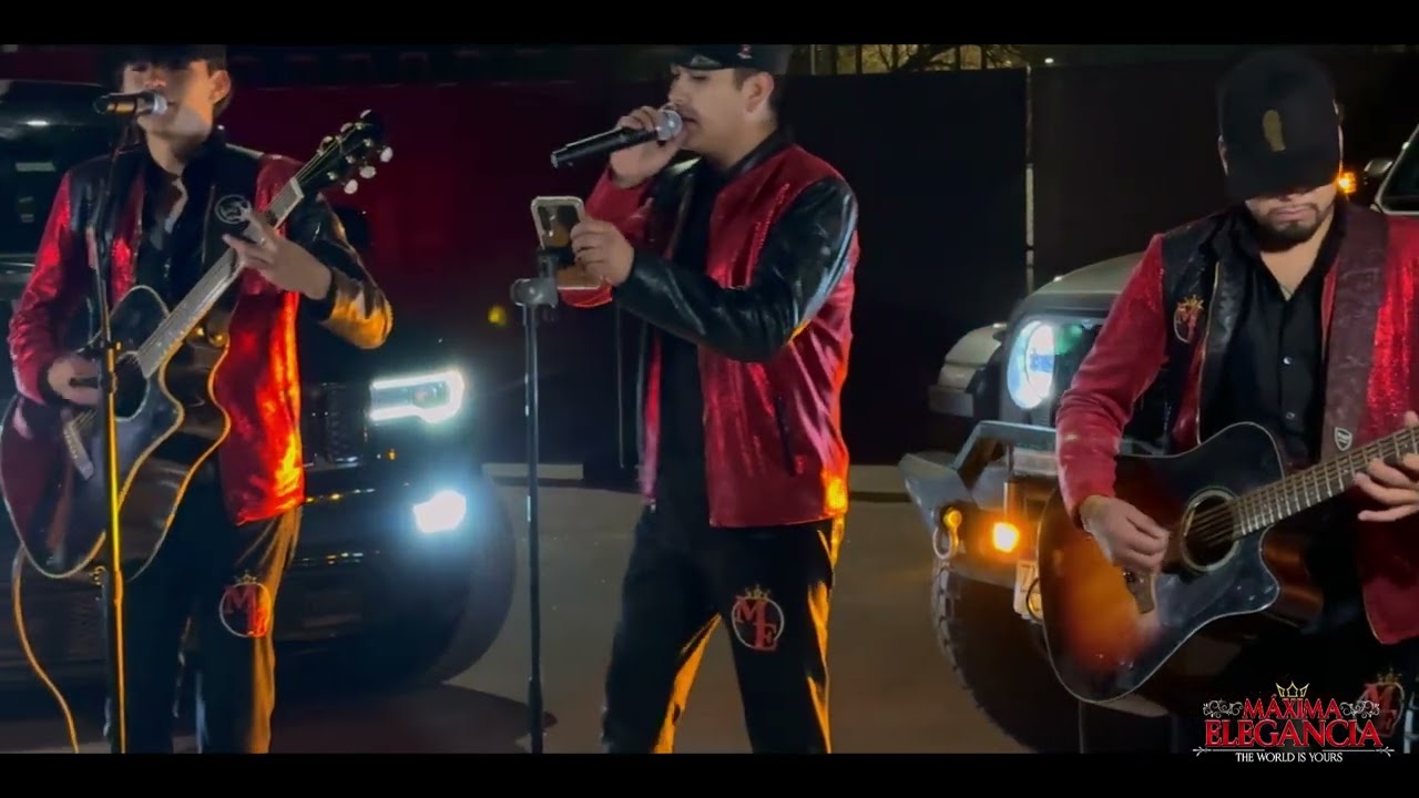 GALLO DE SINALOA - Maxima Elegancia (cover)