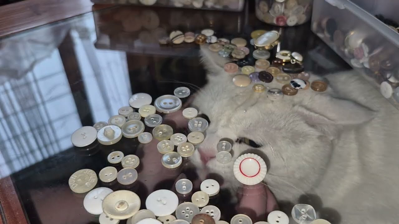 ASMR: Sorting Sewing Buttons (Relaxing Fabric Stash Organization)
