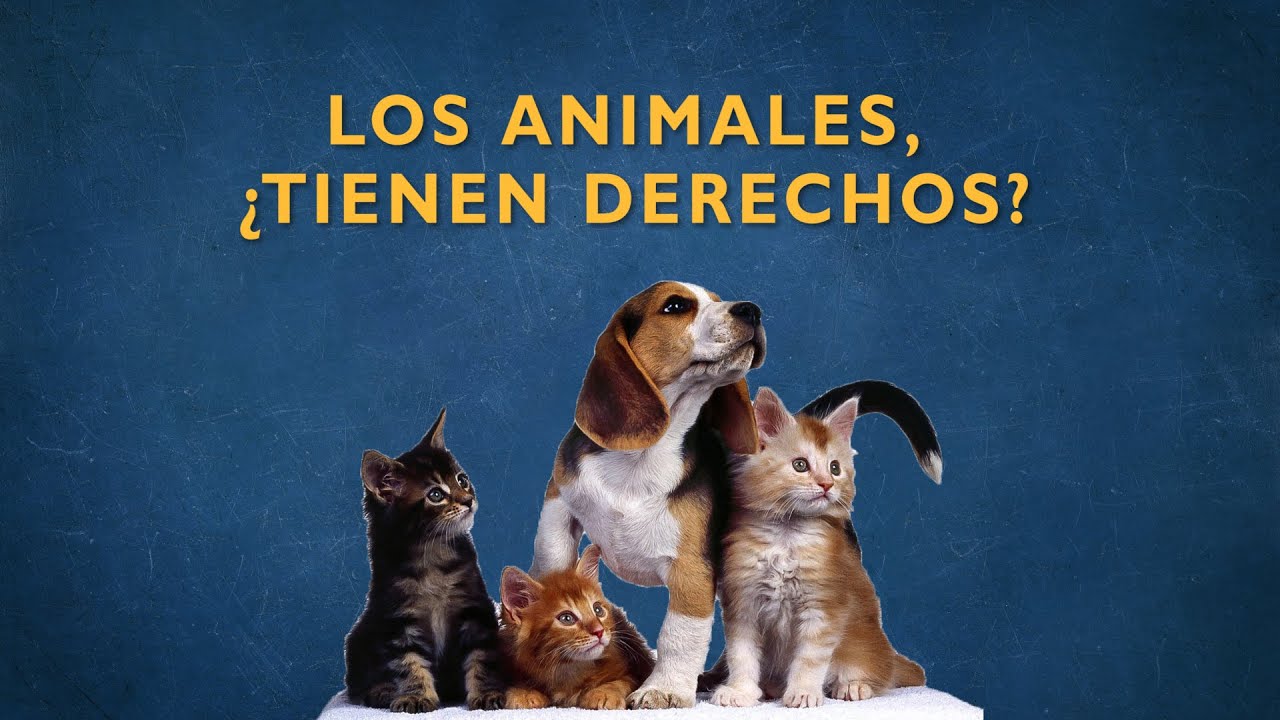 Los animales, &iquest;tienen derechos?