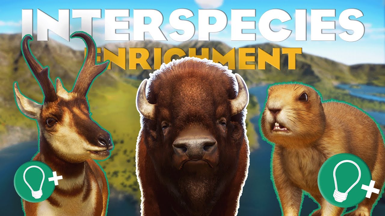 🦛 Устаревшее руководство по межвидовому обогащению | Planet Zoo