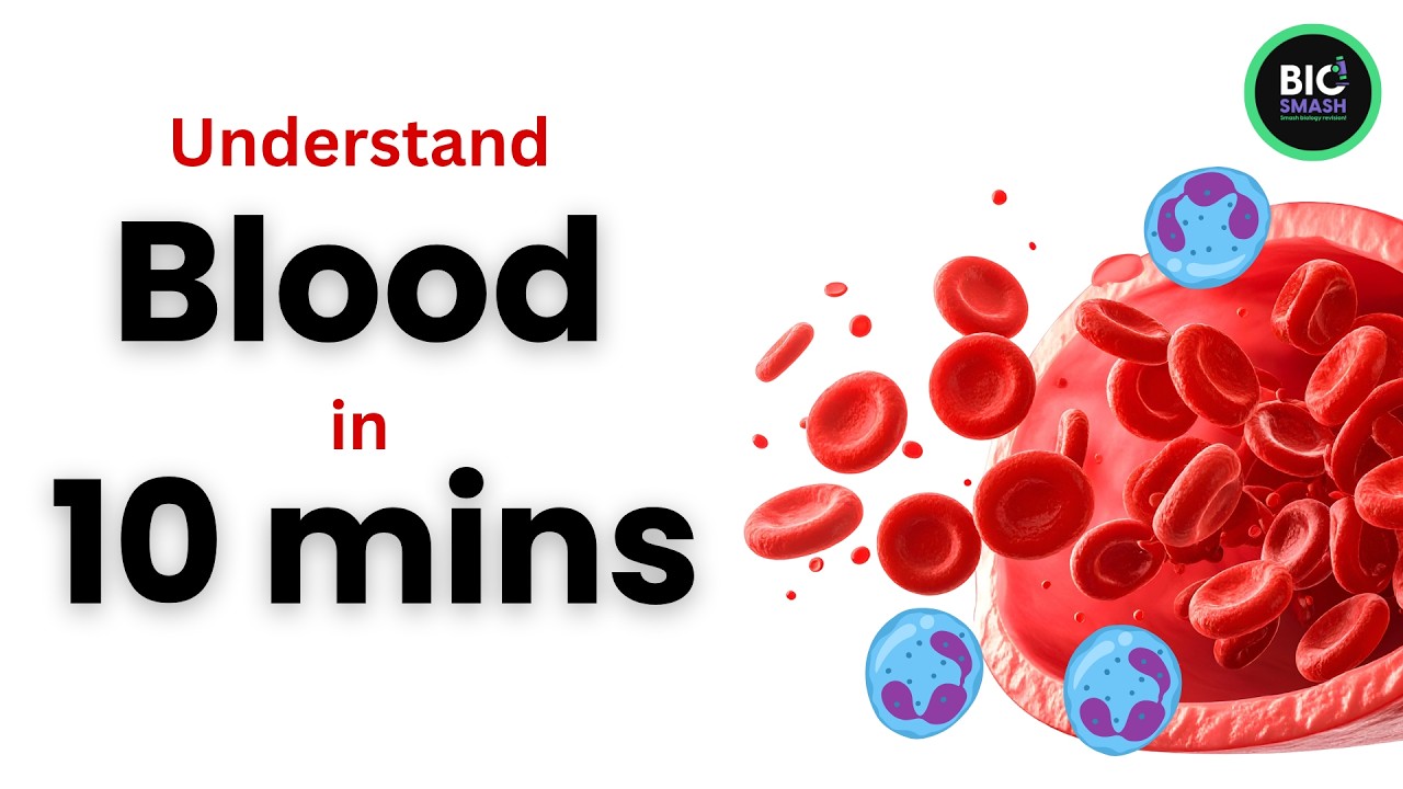 Blood Explained! 🩸 Cells, Plasma & Platelets | GCSE Biology Revision
