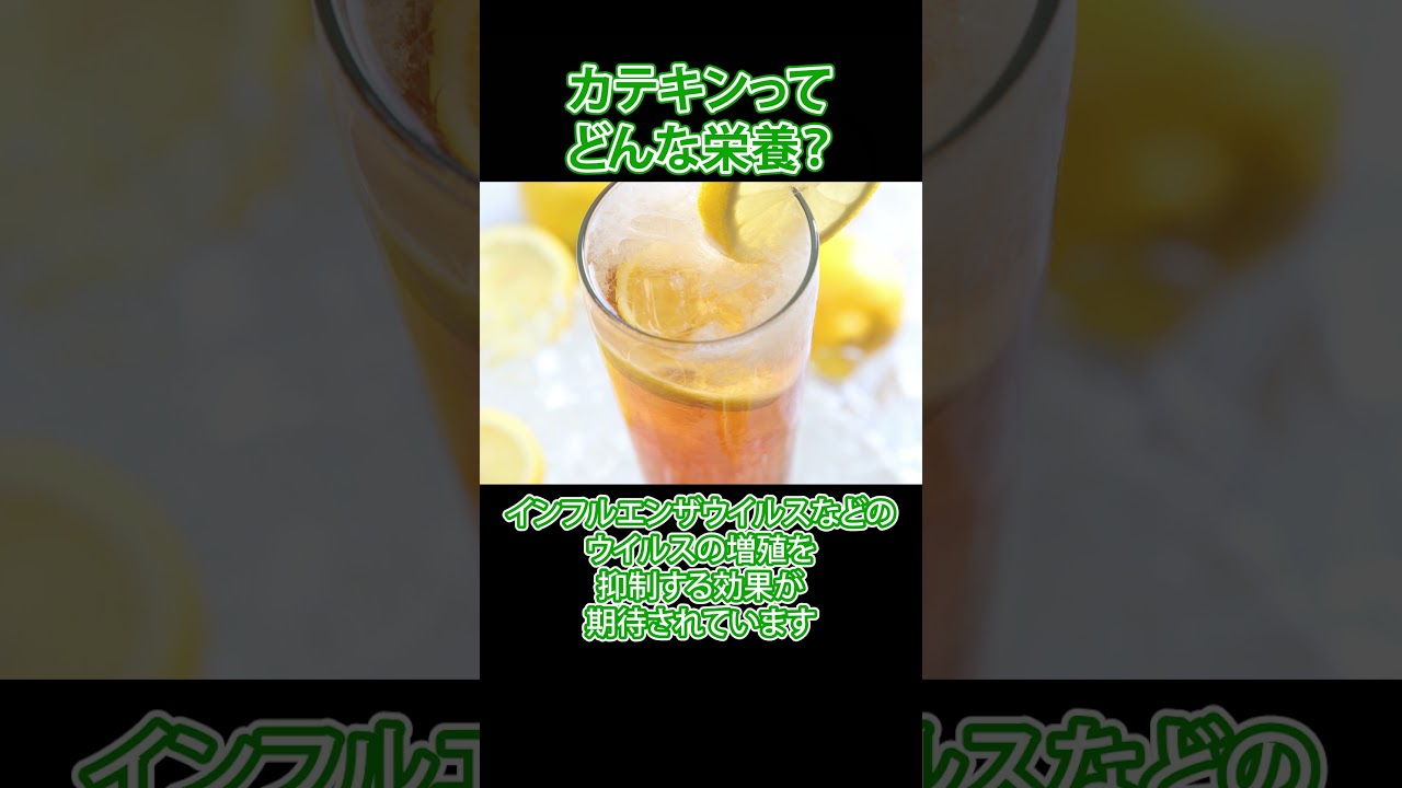 #栄養学で健康を考える #カテキン #お茶 #機能性成分 #栄養 #健康