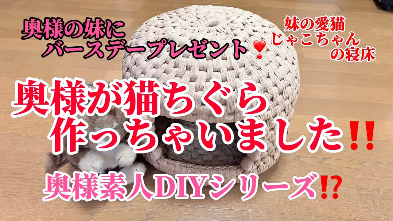 奥様が猫ちぐら作っちゃいました⁉️