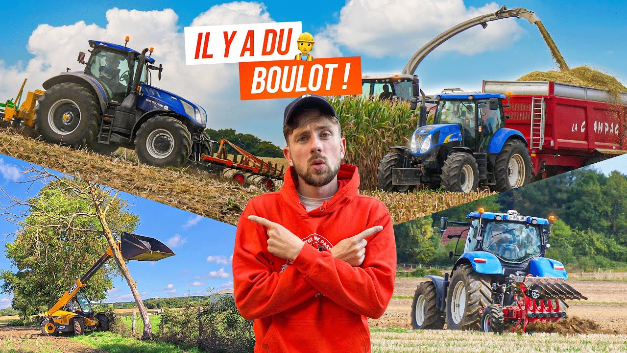 IL Y A DU BOULOT : ENSILAGE, SEMIS COLZA, BOIS...