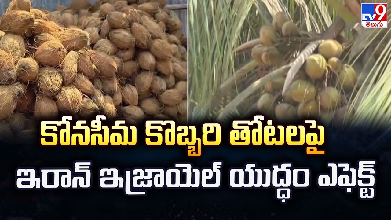 Konaseema Coconut Prices Crash Amid Middle East Conflict -TV9
