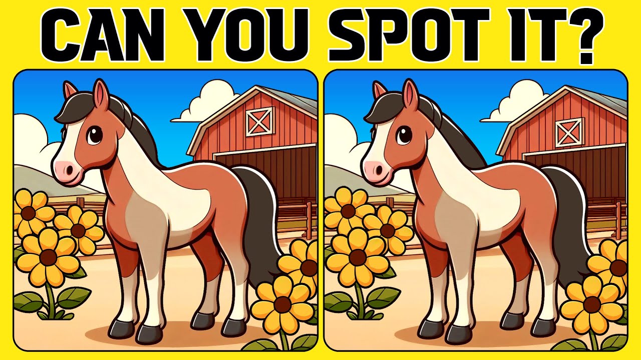 🧠🧩Spot the Difference | Mind Challenge 《HARD》