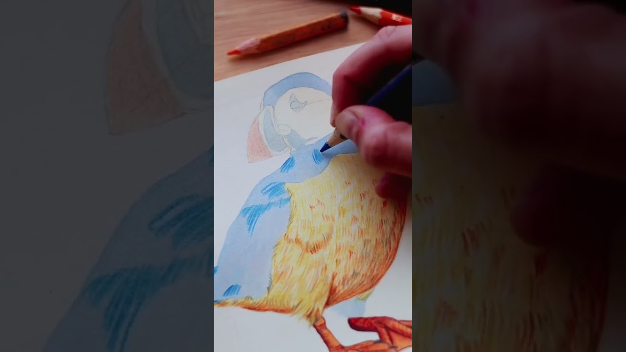Today&rsquo;s sketch on #page40 🐚🪶💧Drawing a puffin and seashells #dailysketching #arttok #puffins