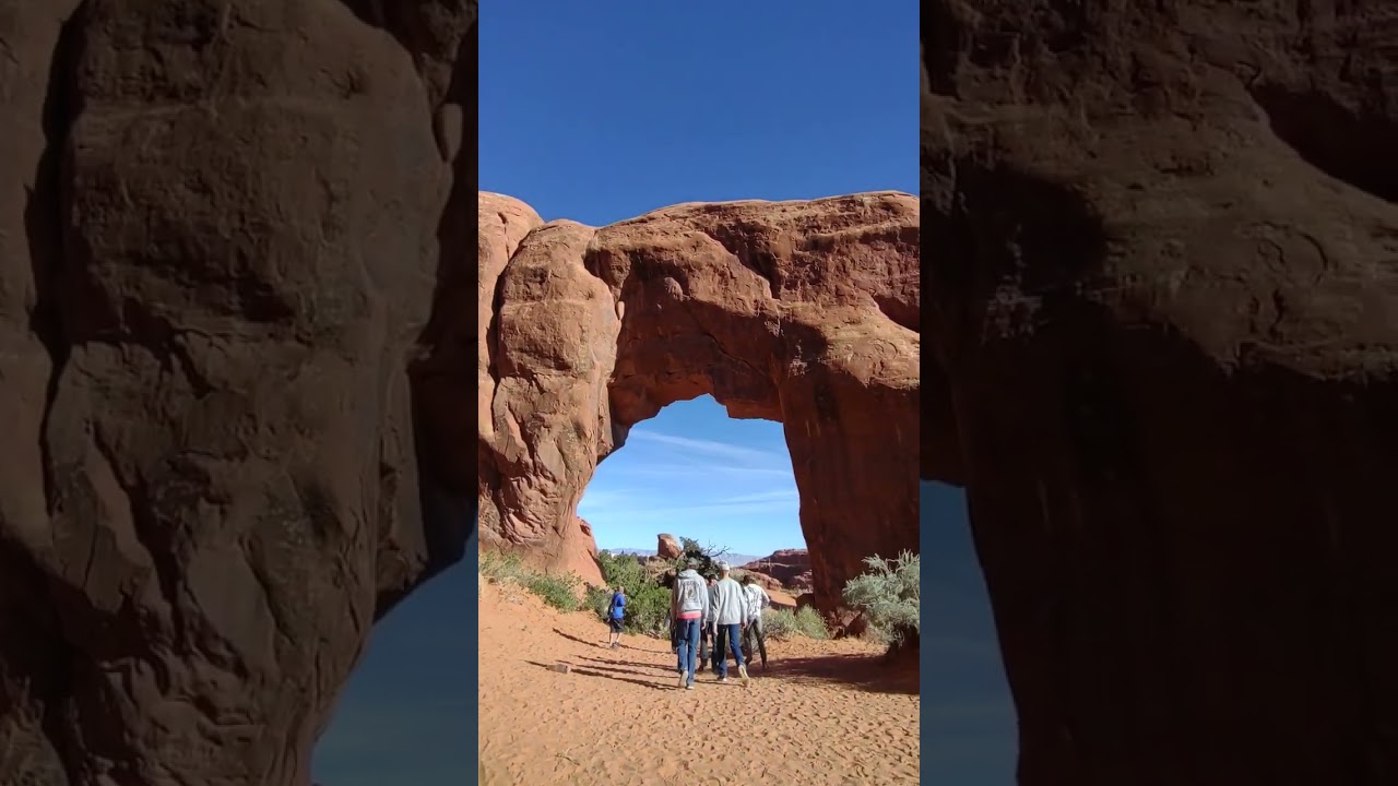 Pine Tree Arch