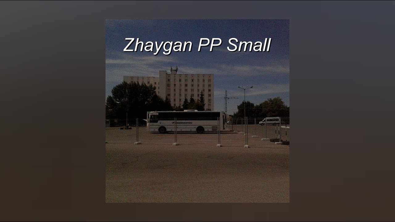 Zhaygan PP Small: Баловство