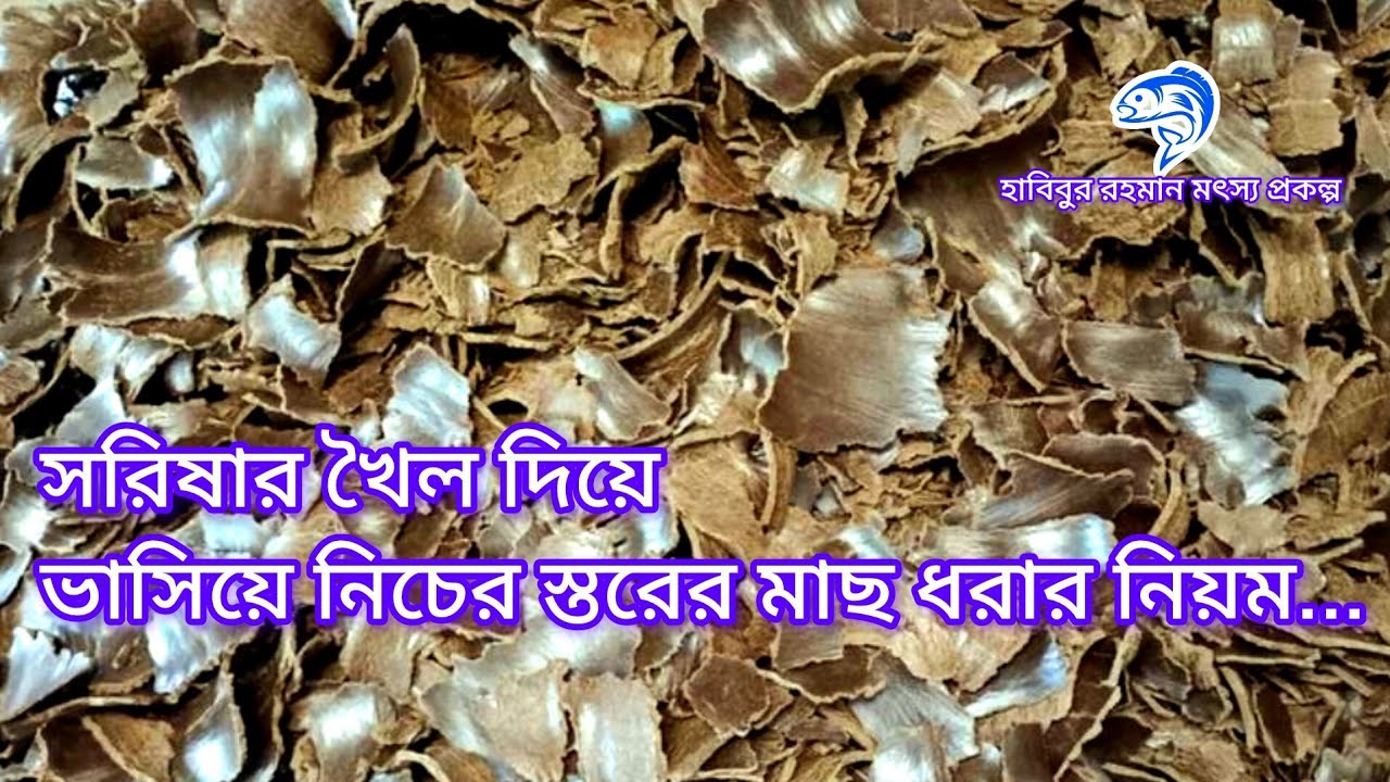 ৩৬২.. সরিষার খৈল দিয়ে ভাসিয়ে নিচের স্তরের মাছ ধরার নিয়ম। 