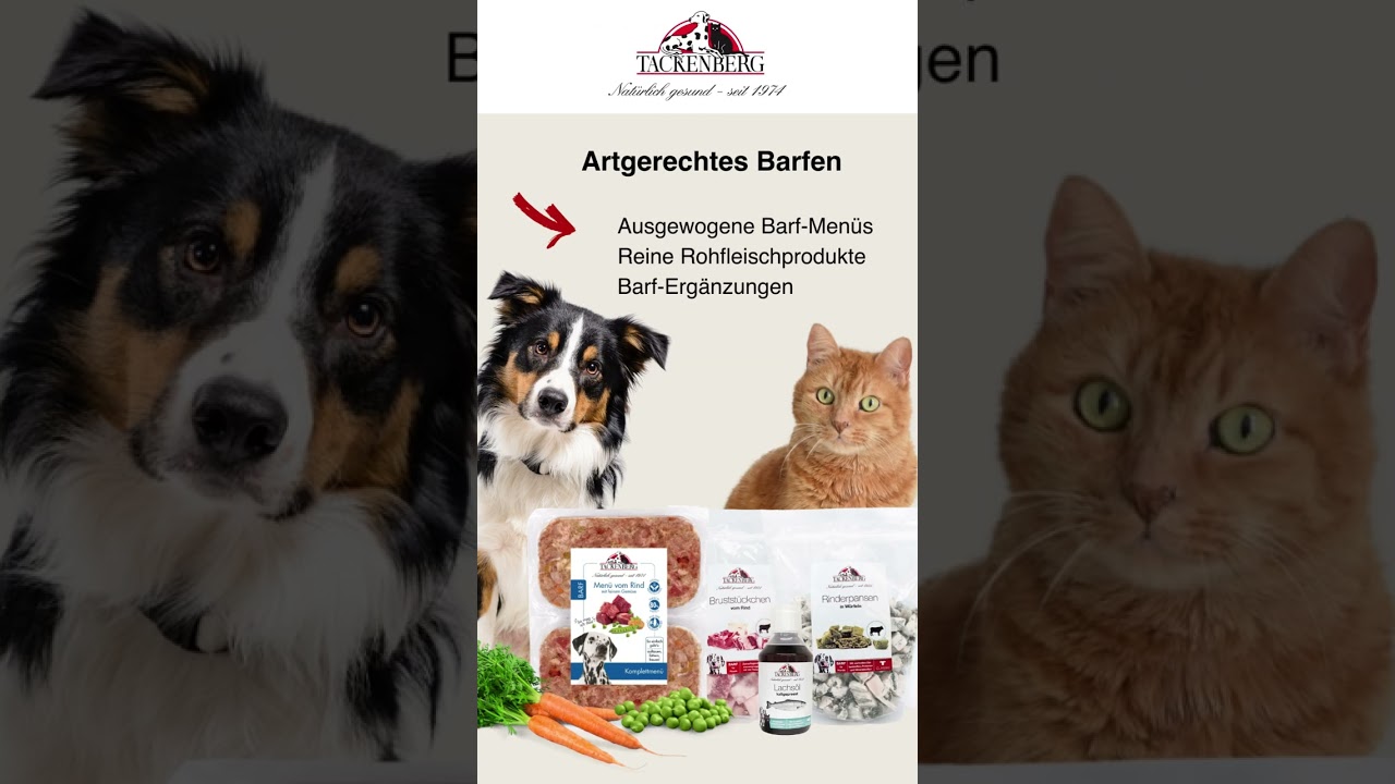 Herzlich Willkommen bei Tackenberg!