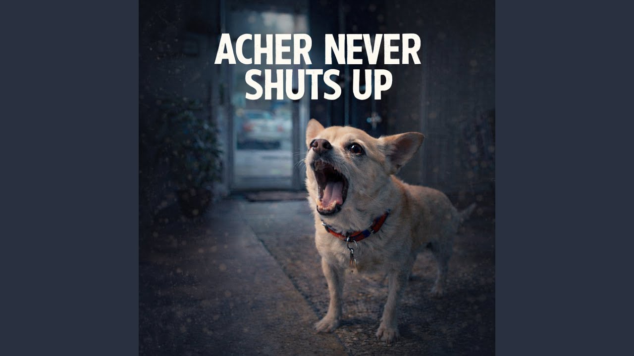 Acher Never Shuts Up