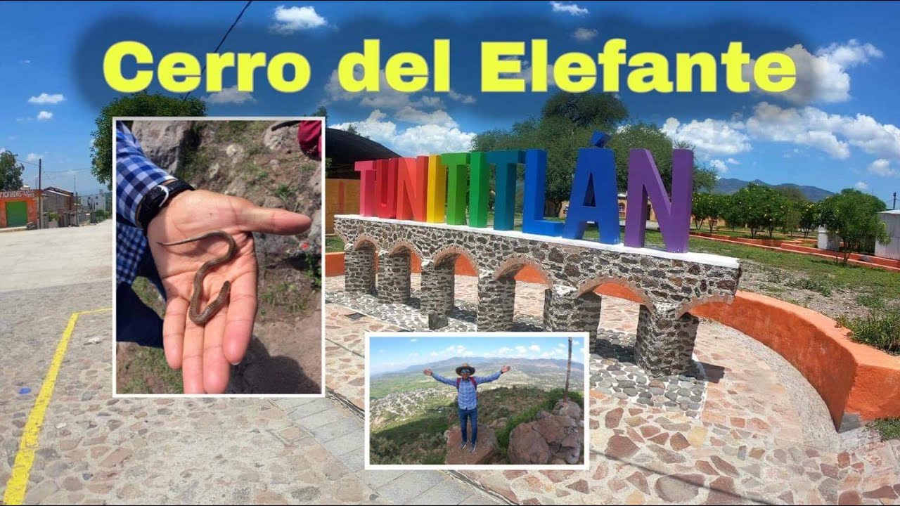 Conquistamos el Cerro del Elefante | &iexcl;V&iacute;boras en el camino! #Senderismo #Tunititl&aacute;n #12Febrero