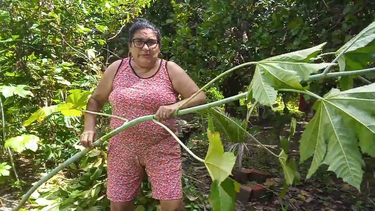 7 de março de 2026