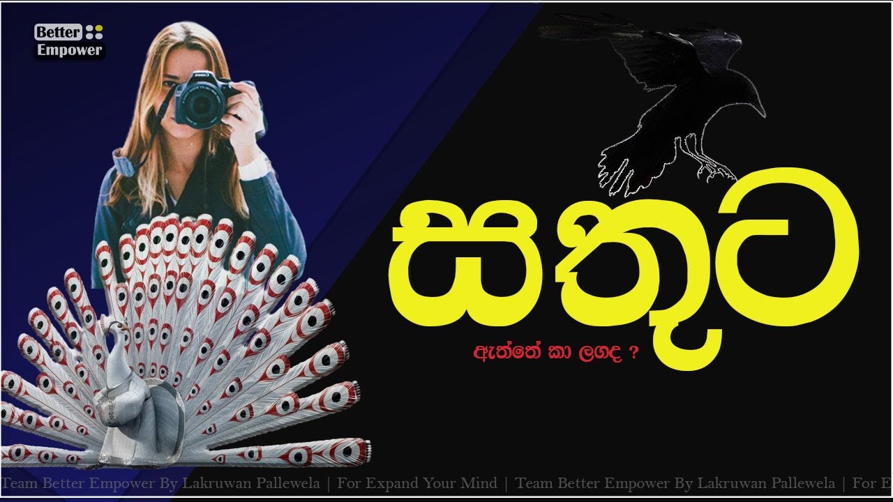 Happiness | ඔබේ සතුට කොහෙද | Sinhala Inspirational story | Lakruwan Pallewela