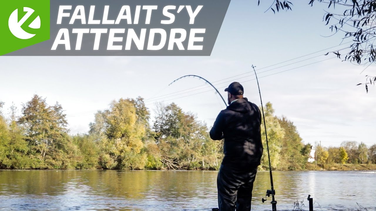 SILURE en PETITE RIVIERE | la MEILLEURE EMBARCATION