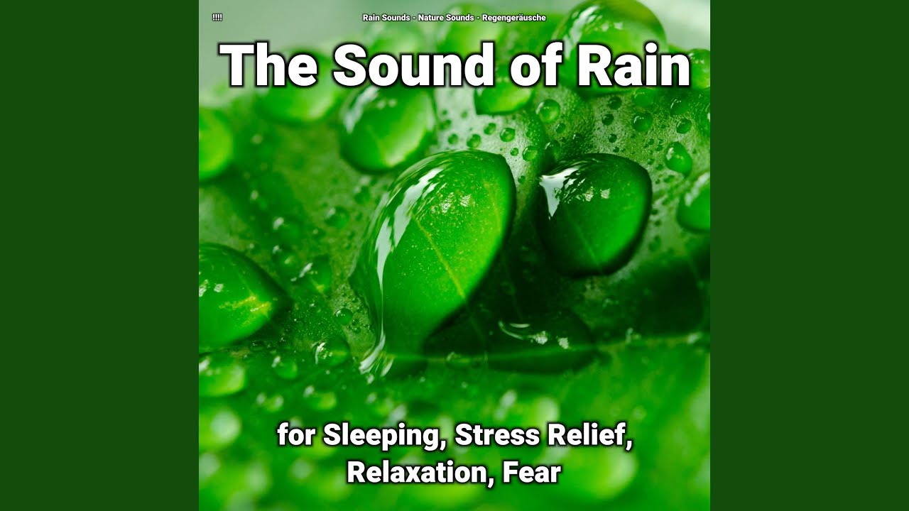 Mindfulness Audio