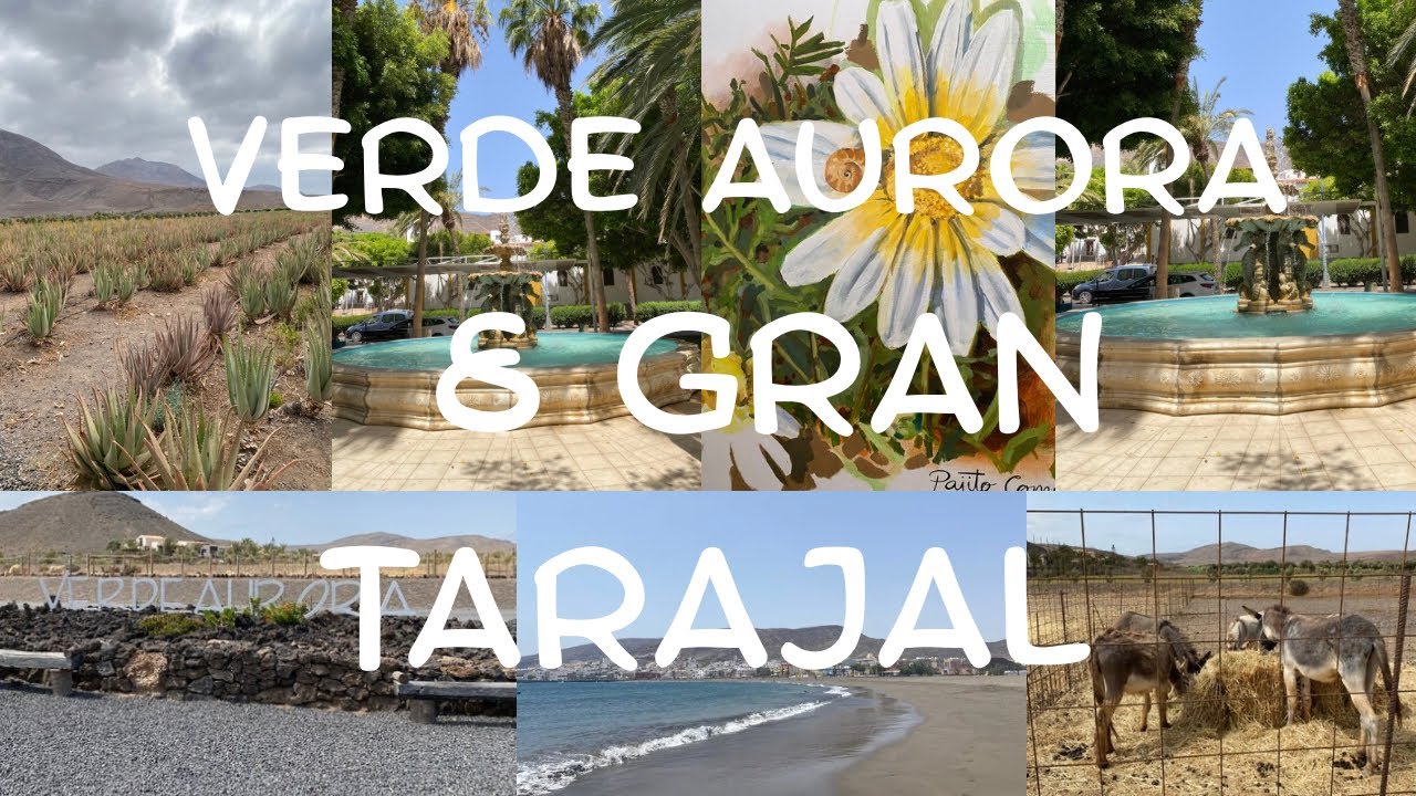 🪴🌊VERDE AURORA BIO FARM & GRAN TARAJAL 🌊🪴 #fuerteventura 