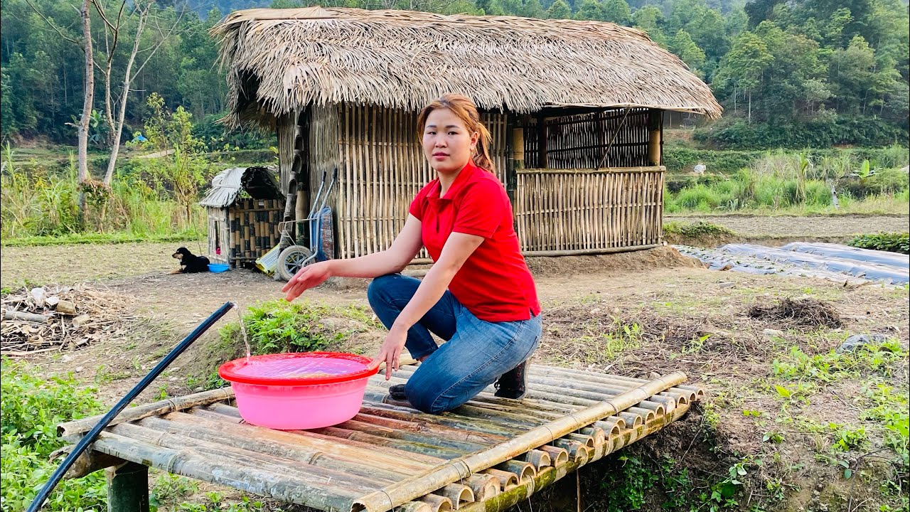 Looking for the meaning of free life - water floor to build a bamboo house in a new place