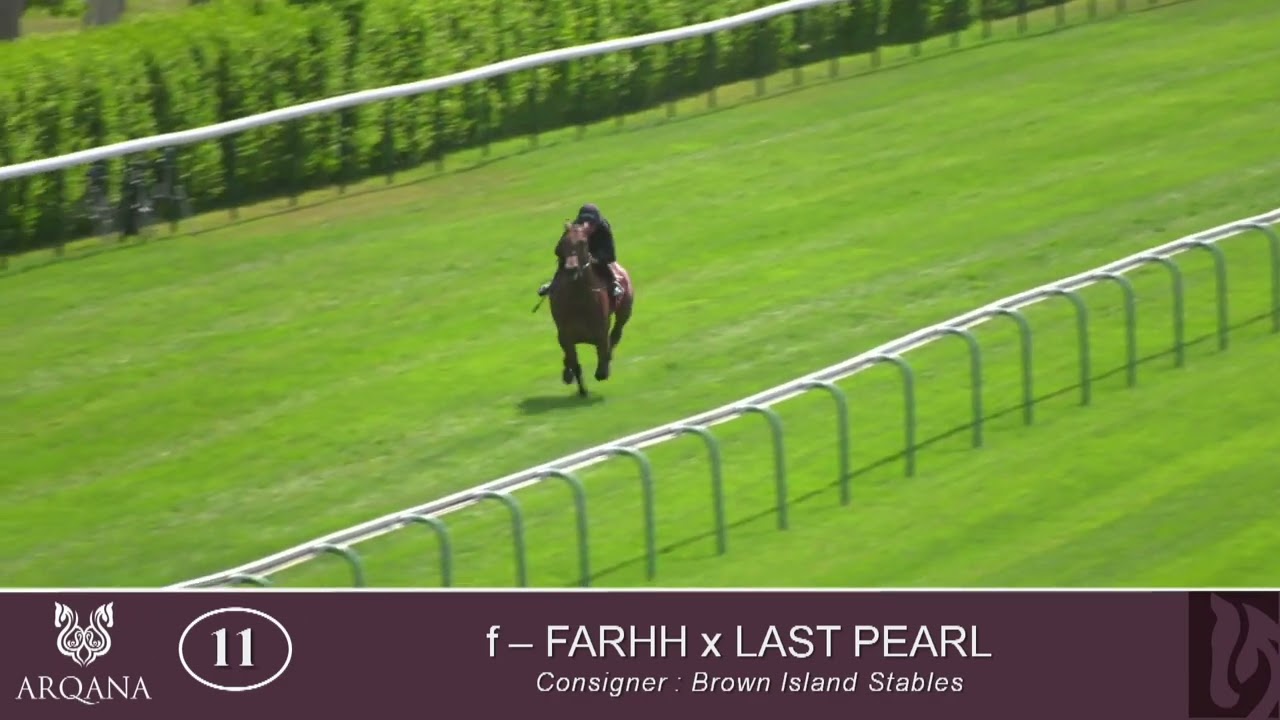 2022 Breeze Up - Lot 11 f. FARHH x LAST PEARL