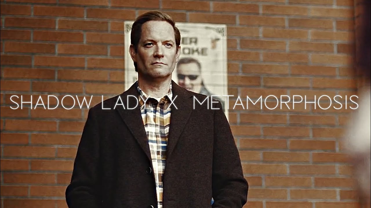 Reverse Flash | Shadow lady X Metamorphosis