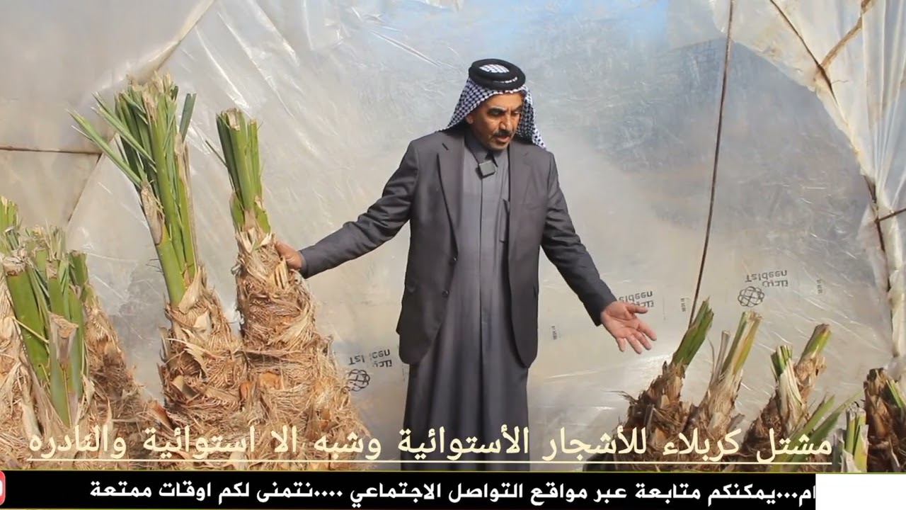 مشتل كربلاء للأشجار الاستوائية وغير الأستوائية والنادره0771429291107717977254