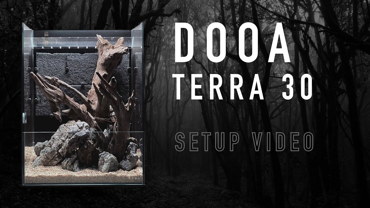 Dooa Terra 30 | Setup Video | V - SCAPES | 4K