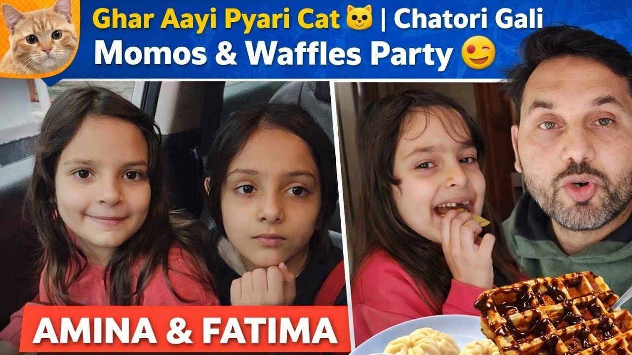 Ghar Aayi Pyari Cat 🐱 | Chatori Gali Momos & Waffles Party 😋 | Amina Fatima Masti