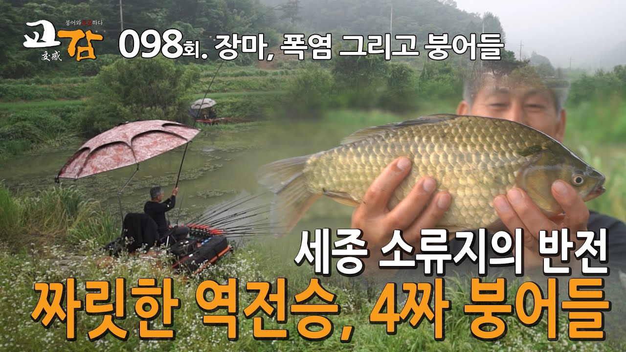 이스케이프 [교감TV] 98회 - 세종 소류지 편 / 장마, 폭염 그리고 4짜붕어들 /뒤집어진 흙물에 포기하려 했는데
