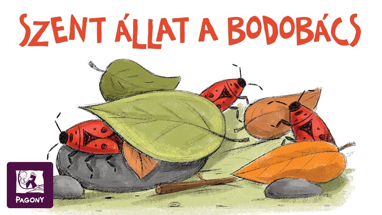 Örökké óvodás maradok! ovis mesék - Szent állat a bodobács