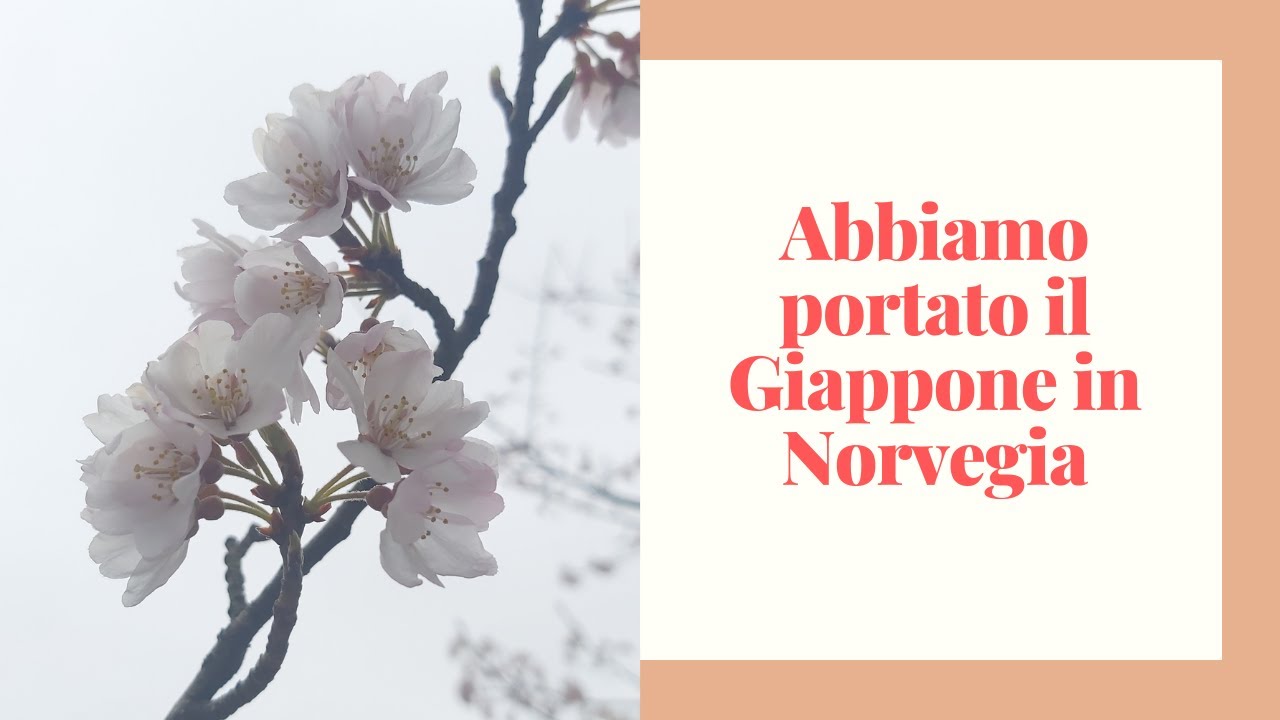 Casa in Norvegia: poteva essere un disastro!