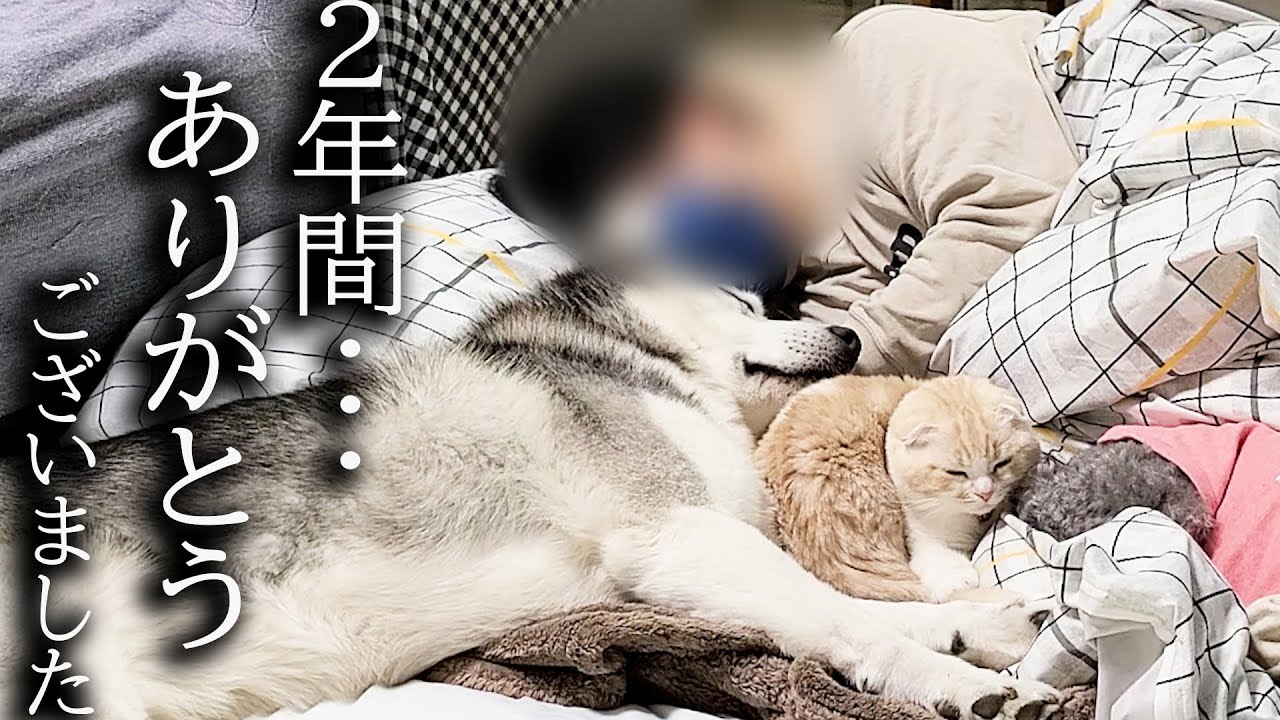 2年間一緒の布団で寝てきた結果こうなりました…