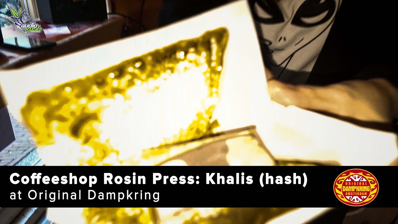 Coffeeshop Rosin Press: Khalis (hash) - Original Dampkring Amsterdam
