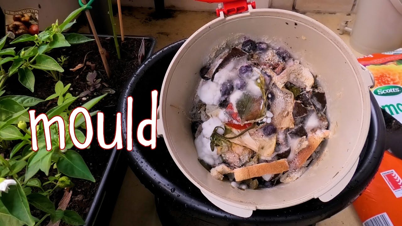 Full Bokashi Process - Best compost for container gardening on balcony